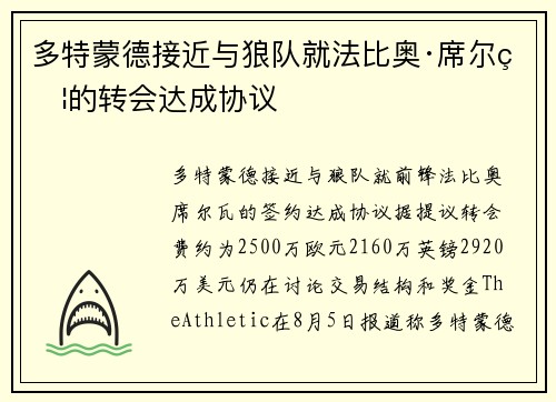 多特蒙德接近与狼队就法比奥·席尔瓦的转会达成协议